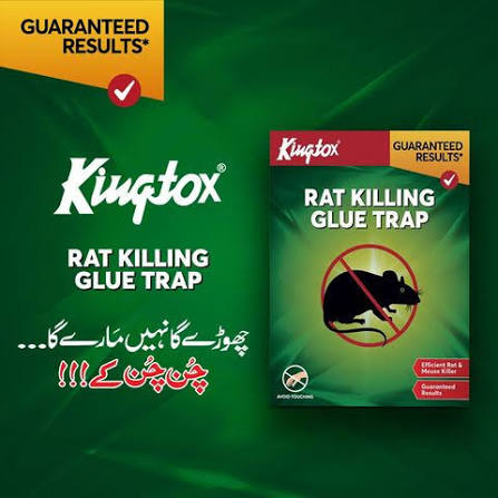 King Tox Mouse Glue Trap