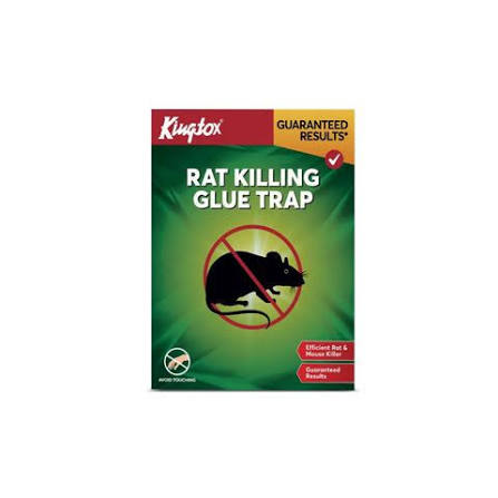 King Tox Mouse Glue Trap